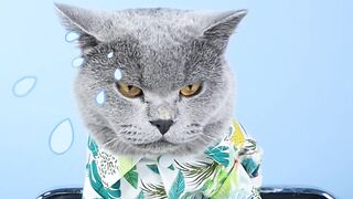 GrimReaper:DONOTWASTEYourFood!!FunnyCatTikTokChallenge