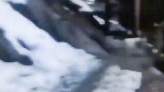 Жиза