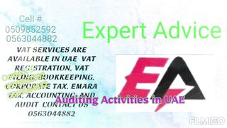 VAT Consultant