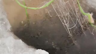 Зимняя рыбалка
