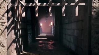 Tiger attached the kung fu boy || #movieshort