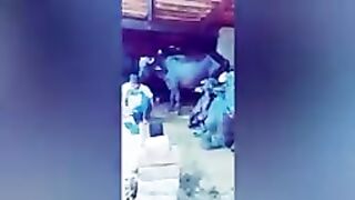 26 Funny Moments Of People Caught On Camera