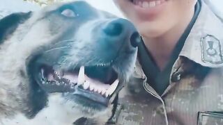 Cute and funny cat's and dogs Videoes 2023