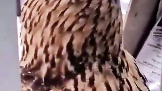 Funny moments Videos
