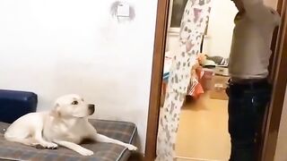 Funny moments Videos