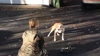 Cute and funny cat's and dogs Videoes latest 2023