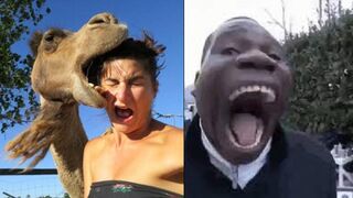 TRY NOT TO LAUGH ???? Best Funny Videos Compilation ????????????