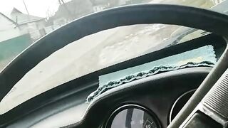 Вот зверь
