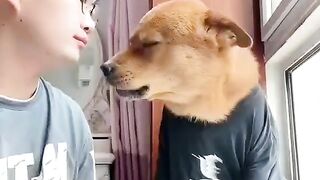 funny dog