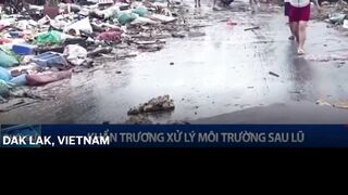 Vietnam begins clean up after worst flooding in decades which left dozens dead