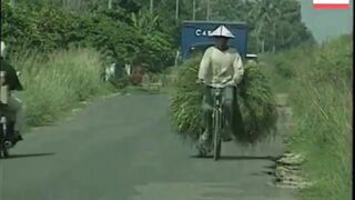 Suasana Lampung Menjelang Krisis Moneter 1998.