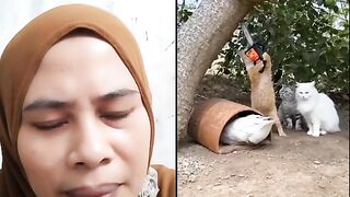 Its the gooses turn to sleep, the cat is mischievous