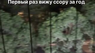 Я такую жестокую драку первый раз вижу