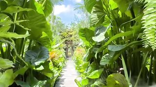 suasana yang menyejukan hati