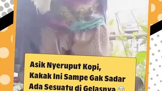 Kocak  Kopi Cicak