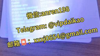 在边境的风中我手持办理高仿护照走向未知的世界[地球上的欧洲非洲]