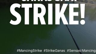 Wild Strike on Calm Water! The Ultimate Adrenaline Hookset!