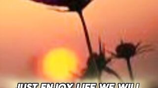 Just enjoy your life