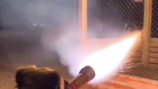 The white swans prank on the dog setting off firecrackers in the cage made him laugh