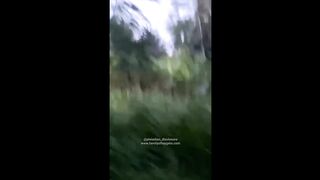 top mystery tree jinn