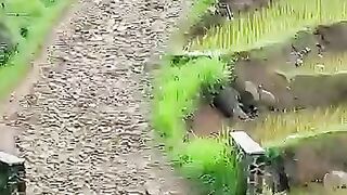 Going to school in a remote village by motorbike