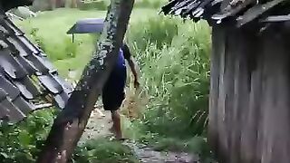 A house in the middle of rice fields that is free from air pollution