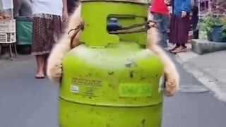 Oyen keren