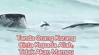 Allah. praise be to Him, He is childless and not begotten