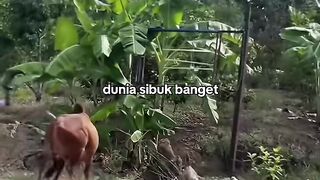 Dunia sibuk banget