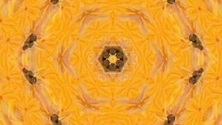 Abstract Digital Video