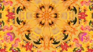 Abstract Digital Video