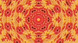 Abstract Digital Video