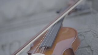 Forest Mountain Farms CBD Gummies REVIEWS and ComplaintS (US, AUS  UK) An Honest Consumer 2025 Review [D4FABA]