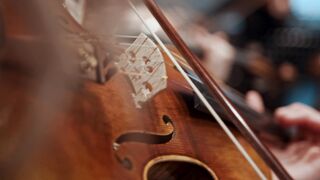 Neurogan CBD Gummies REVIEWS and ComplaintS (US, CA  UK) An Honest Consumer 2025 Review [FG4VAG]