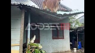 Coba pikirkan lagi secara logika