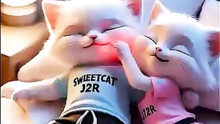 Wajah kucing di cakar adek