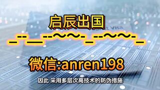 中国护照境外办理全面指南 关键词境外护照办理 中国领事APP 到馆递交 材料准备 办理流程