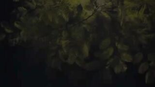 southampton vs leicester city