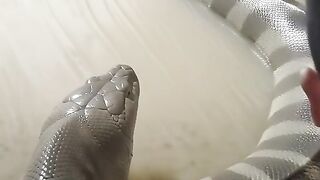 Terjebak dijalanan kerena ada ular besar