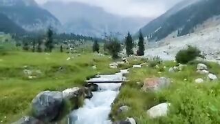 Online earning app 2025