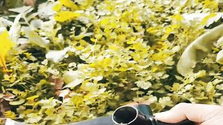 Master the Outdoors This 3-in-1 Tool Does It All Effortlessly!