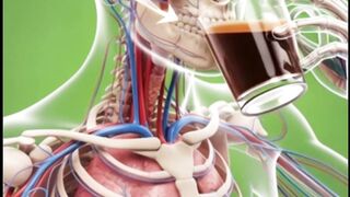 What Really Happens Inside Your Body When You Drink Coffee?