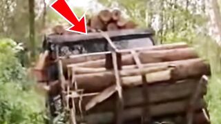 Jungle Beast Mode Watch This Vintage 4x4 Haul an Impossible Load!