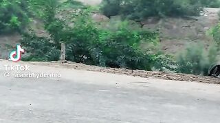 Beautiful Song Boy Actinic