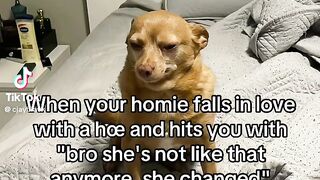 Buy Cocaine ,Weed ,Coke ,Xanax in Gjirokastër Telegram (thyfone)