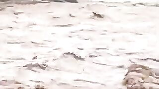 Kondisi Banjir Yang Melanda Kota Padang Dan Sekitarnya