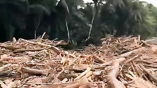 kondisi terkini setelah air surut