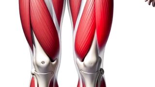 Muscle Weakness Cure  پٹھوں کی کمزوری کا ہومیوپیتھک علاج