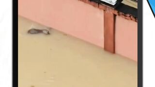 DiSaat Nafas terakhir sudah diujung hela keajaiban datrang menghampirinya