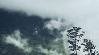 The beauty of the mountain